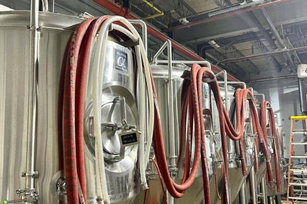 Brewery Fermenters made of Stainless Steel with hoses neatly draped between them.